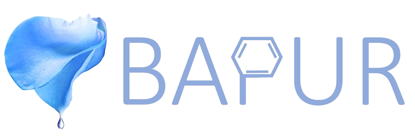 logo BAPUR